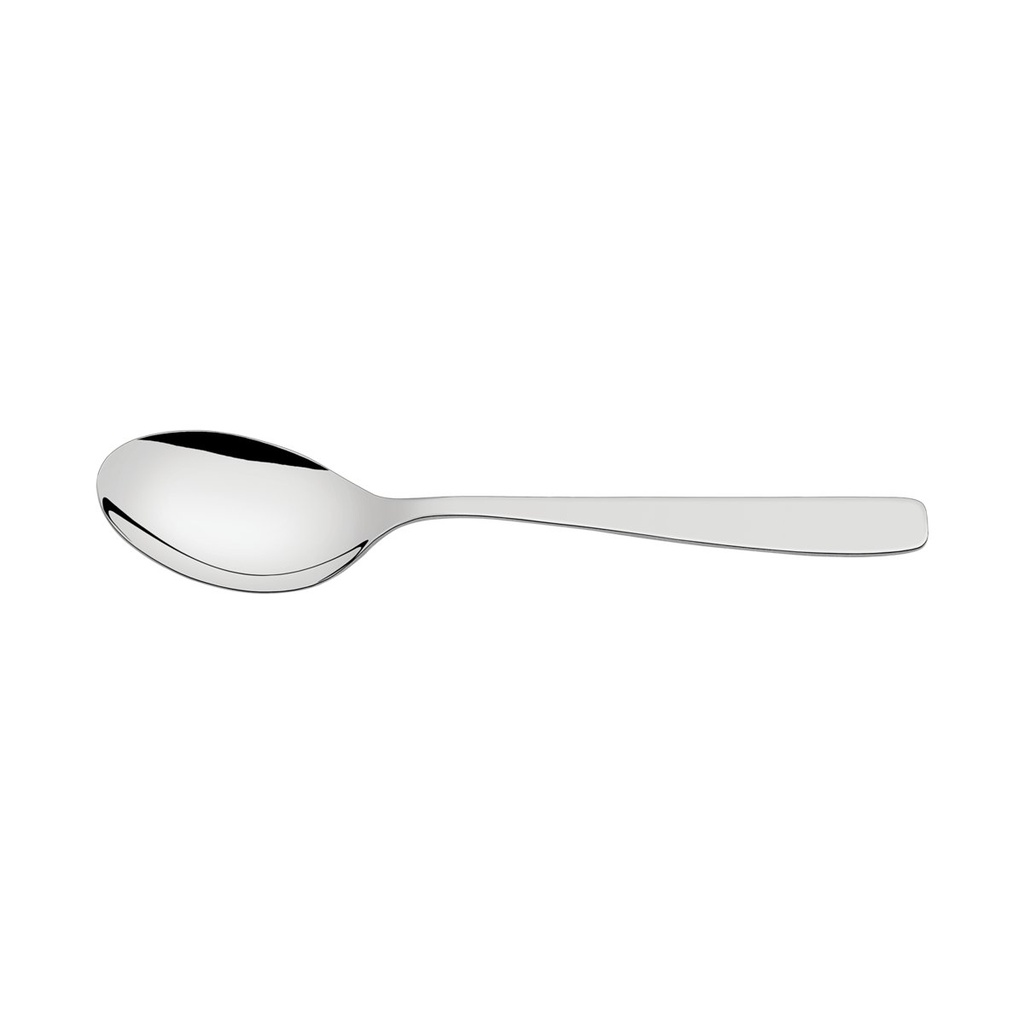 [63950100] CUCHARA PARA SERVIR EN ACERO INOXIDABLE COSMOS