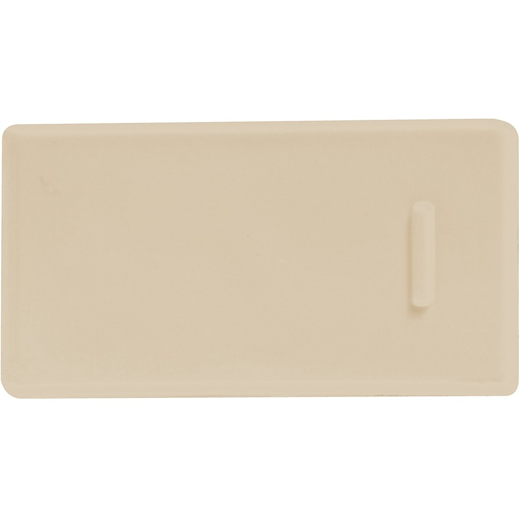 MODULO INTERRUPTOR UNIPOLAR 10A/250V BEIGE
