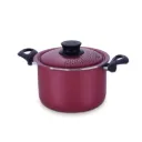 OLLA ANTIADHERENTE PARA SPAGUETTI 4,2 L. Ø 20 CM. PARIS