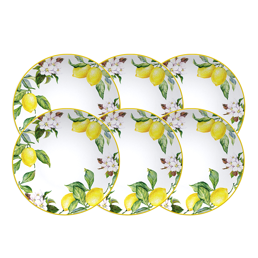 JUEGO DE PLATOS HONDOS EN PORCELANA 6 PIEZAS Ø22 CM. CARMEN