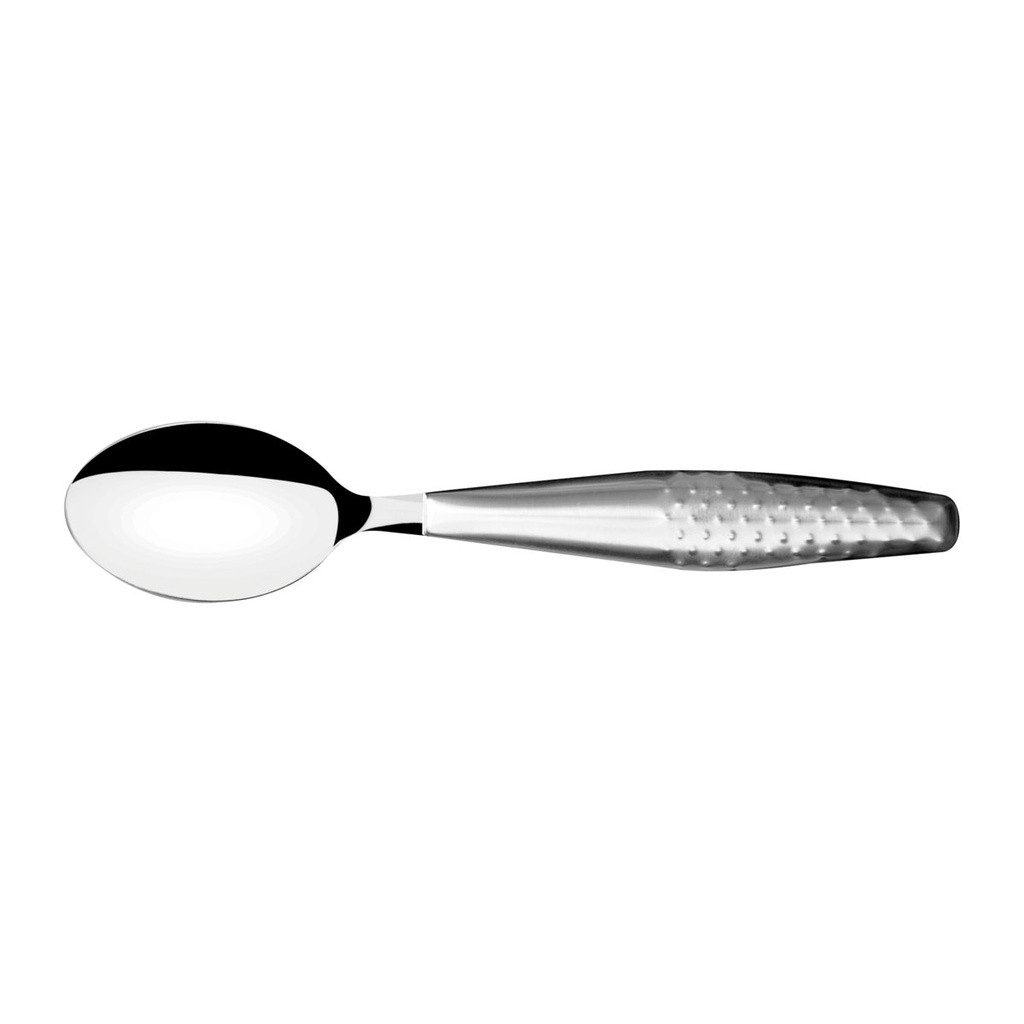 CUCHARA DE ASISTENCIA EN ACERO INOX FOR ALL